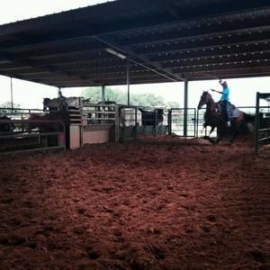 Meet your Posher, Bryson